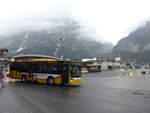 (205'334) - AVG Grindelwald - Nr.