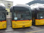 (210'019) - PostAuto Ostschweiz - Volvo am 6.