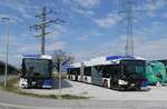 (285'656) - TL Lausanne - Nr. 881 + 889 - Hess/Hess Gelenktrolleybusse am 21. M�rz 2026 in Kerzers, Murtenstrasse