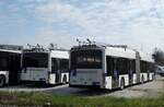 (285'657) - TL Lausanne - Nr. 881 - Hess/Hess Gelenktrolleybus am 21. M�rz 2026 in Kerzers, Murtenstrasse