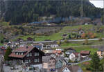 Rückkehr der Elefanten an den Gotthard.