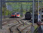 Elefant auf dem Läufelfingerli.

C 5/6 2978 in Sissach. April 2024.