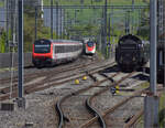 Elefant auf dem Läufelfingerli.

C 5/6 2978 in Sissach. April 2024.
