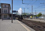 Elefant auf dem Läufelfingerli.

C 5/6 2978 in Olten. April 2024.