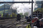 Elefant auf dem Lufelfingerli.

C 5/6 2978 in Sissach. April 2024.