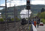 Elefant auf dem Lufelfingerli.
