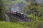 Nach dem Fest im Feldschlösschen. 

Der gesamte Zug mit Ae 6/6 11407, dann der Sihlthalbahnwagen C69 und C68, dazwischen das Tigerli E 3/3 8512, dann der Mitropaspeisewagen und am Ende das Chnurrli E 2/2 5666. Zeihen, April 2023.