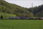 Nach dem Fest im Feldschlösschen.

Die urige Fuhre  mit Ae 6/6 11407, dann der Sihlthalbahnwagen C69 und C68, Tigerli E 3/3 8512. Frick, April 2023.