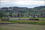 Der Museumszug der Sursee-Triengen-Bahn mit Tigerli E 3/3 8522 bei Geuensee.