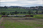 Der Museumszug der Sursee-Triengen-Bahn mit Tigerli E 3/3 8522 bei Geuensee.