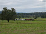 Der Museumszug der Sursee-Triengen-Bahn mit Tigerli E 3/3 8522 bei Geuensee. August 2024.