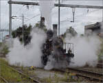 Das Tigerli E 3/3 8522 umfhrt den Museumszug der Sursee-Triengen-Bahn in Sursee. Dabei gilt es den Regelverkehr zu beachten, und der ist mit zahlreichen Zgen auf der Strecke unterwegs. Allerdings ist Geduld nicht die Strke eines jeden Bsi und so randaliert das Tigerli wutschnaubend, bevor es weiter rangieren darf. August 2024.