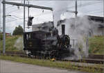 Das Tigerli E 3/3 8522 umfhrt den Museumszug der Sursee-Triengen-Bahn in Sursee. Dabei gilt es den Regelverkehr zu beachten, und der ist mit zahlreichen Zgen auf der Strecke unterwegs. Allerdings ist Geduld nicht die Strke eines jeden Bsi und so randaliert das Tigerli ordentlich, bevor es weiter rangieren darf. August 2024.