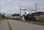 Das Tigerli E 3/3 8522 umfhrt den Museumszug der Sursee-Triengen-Bahn in Sursee. Dabei gilt es den Regelverkehr zu beachten, und der ist mit zahlreichen Zgen auf der Strecke unterwegs. Allerdings ist Geduld nicht die Strke eines jeden Bsi und so randaliert das Tigerli wutschnaubend, bevor es weiter rangieren darf. Unterdessen entfernt sich RABe 502 229 vorsichtshalber vom Geschehen. August 2024.