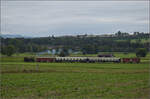 Der Museumszug der Sursee-Triengen-Bahn mit Tigerli E 3/3 8522 bei Geuensee. August 2024.