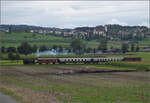 Der Museumszug der Sursee-Triengen-Bahn mit Tigerli E 3/3 8522 bei Geuensee. August 2024.