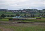 Der Museumszug der Sursee-Triengen-Bahn mit Tigerli E 3/3 8522 bei Geuensee.