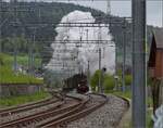 Vapeur Val-de-Travers: Train  Au fil de l'Areuse .

Ausfahrt von E 3/3 8511 aus Travers. Mai 2023.