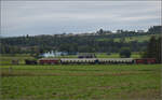 Der Museumszug der Sursee-Triengen-Bahn mit Tigerli E 3/3 8522 bei Geuensee.