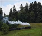 Fahrtag im Zürcher Oberland.