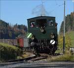 DVZO Dampffest 2017.

Ed 3/3 401 mit ihrem Museumszug bei Bretswil. Oktober 2017.