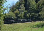 150 Jahre Tsstalbahn.