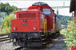 150 Jahre Tsstalbahn.

Saras Schwesterlok Em 3/3 18824 'Emma' ist neu beim DVZO und braucht noch kleinere Reparaturen, um auch mitzumischen. Denn anderes als Hinwil ist die Bahnhofshalle in Bauma ein Sackbahnhof fr die Museumszge. September 2025.