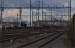 Überraschung am Abend, Re 4/4 II 11118 von SBB Personenverkehr in Diensten der SBB Cargo.