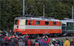 Grosses BoBo-Treffen in Balsthal: 60 Jahre Re 4/4 II in der Schweiz.

Re 4/4 II 11141 ist der zweite Star der DSF. Die ehemalige Swiss-Express-Lok fährt neuerdings wieder Originalgewand als Cremeschnitte umher. Damit ist eine Überraschung für die Fans dieser Baureihe gelungen. Balsthal, September 2024.