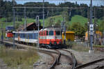 150 Jahre Tsstalbahn.

Die Swiss-Express-Lok Re 4/4 II 11141 muss an diesem Tag RBe 540 074 als Steuerwagenersatz untersttzen. Der etwas schrge Pendelzug warte in Bauma auf seinen nchsten Einsatz auf der eigentlichen Jubilarin. September 2025.