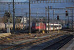 Re 4/4 II 11304 ist in Biel geparkt. Dezember 2026.