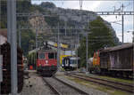 Grosses BoBo-Treffen in Balsthal: 60 Jahre Re 4/4 II in der Schweiz.

Re 4/4 II 11160 von SBB Cargo ist inzwischen im rot/blauen Cargo-Gewand lackiert. Von vorne sieht man das allerdings nicht. Ein Hydrant am Gleis und ein Zaun sorgen vor Ort für eine wunderbare Fotografenkanzel nahe am Gleis. Bahnhof Klus, September 2024.