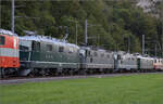 Grosses BoBo-Treffen in Balsthal: 60 Jahre Re 4/4 II in der Schweiz. 

Von vorne nach hinten sind im Zug zusammengestellt: 11173 (grn im Auslieferungszustand), 11335 (grn), 11161 (grn), Re 4/4 I 10039 (grn). Balsthal, September 2024.