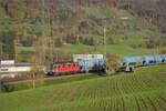 Sonnentag in Frick.

SBB Cargo überrascht mit Re 4/4 11327 vor einem Getreidezug Richtung Basel. Frick, November 2024.