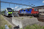 Re 420 253 durch die Blumenrabatte in Burgdorf.