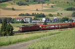 Re 4/4 II 11324 mit einem leeren Autozug bei Frick, Juni 2025.