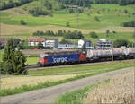 Re 6/6 11605 'Uster' ist derzeit die älteste Re 6/6 in Betrieb. Frick, August 2025.