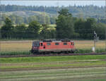 Re 4/4 II 11287 als Solofahrerin im Dünnerenfeld.