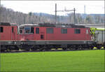 Re 4/4 II 11313 steht ausgeschlachtet in Full. April 2026.
