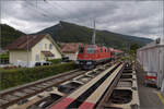 Grosses BoBo-Treffen in Balsthal: 60 Jahre Re 4/4 II in der Schweiz.

Re 4/4 III 11350 der OeBB historic htte einst Re 4/4 II 11156 werden sollen. Die SOB brauchte auch eine Lok, allerdings fr Steilstrecken statt Geschwindigkeit geeignet. Mit geringerer Geschwindigkeit wurde sie als SOB Re 4/4 41 in Betrieb genommen. Im Rahmen eines Loktausches gelangte sie erst spter zu den SBB, wo die freigebliebene Nummer 11350 vergeben wurde. Zusammen mit zwei Loks fr die EBT gehrte sie noch zu der ersten Serie erkennbar an ihrem Scherenstromabnehmer. Balsthal, September 2024.