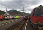 Grosses BoBo-Treffen in Balsthal: 60 Jahre Re 4/4 II in der Schweiz.

Re 4/4 III 11350 der OeBB historic htte einst Re 4/4 II 11156 werden sollen. Die SOB brauchte auch eine Lok, allerdings fr Steilstrecken statt Geschwindigkeit geeignet. Mit geringerer Geschwindigkeit wurde sie als SOB Re 4/4 41 in Betrieb genommen. Im Rahmen eines Loktausches gelangte sie erst spter zu den SBB, wo die freigebliebene Nummer 11350 vergeben wurde. Zusammen mit zwei Loks fr die EBT gehrte sie noch zu der ersten Serie erkennbar an ihrem Scherenstromabnehmer. Balsthal, September 2024.