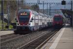 Zugkreuzung von RABe 511 010 mit DPZ mit Lok Re 450 056 in Birmensdorf.