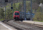 Der Zug mit Ganzwerbezug 'Zäme Züri' gezogen von Re 450 016.