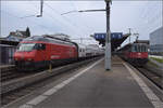 Re 460 001 'Lötschberg und Re 420 225 in Romanshorn. April 2024.