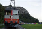 Grosses BoBo-Treffen in Balsthal: 60 Jahre Re 4/4 II in der Schweiz. 

Von vorne nach hinten sind im Zug in der usseren Klus zusammengestellt: Re 4/4 II 11141 (Swiss Express), 11173 (grn im Auslieferungszustand), 11335 (grn), 11161 (grn), Re 4/4 I 10039 (grn), Re 4/4 II 11393 (TEE), Re 4/4 III 11350 (rot), Re 4/4 II 11193 (rot), Re 4/4 11130 (rot), 11230 (Lion), 11257 (Entsorgung), 11252 (Wartung mit Durchblick), 11251 (175 Jahre Schweizer Bahnen), 11160 (Cargo), 11379 (Zrich-Mnchen), 11117 (WRS 502), 11142 (MBC 506), 11119 (Rhomberg-Sersa 503), Re 456 095 (SOB), Re 460 058 (SBB), Re 465 011 (BLS), Ae 4/4 251 (BLS), Re 4/4 183 (BLS) und Re 450 012 (S-Bahn).

Oensingen, September 2024.