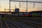 Noch schnell der Abend in Pratteln.

Re 460 014 'Rohrdorfer Berg/Reusstal' mit einem IR auf der Bözberglinie. Oktober 2024.