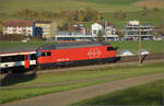 Sonnentag in Frick.

Re 460 098 'Balsberg' schiebt einen Interregio nach Basel. Frick, November 2024.