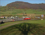 Sonnentag in Frick.

Re 460 098 'Balsberg' schiebt einen Interregio nach Basel. Frick, November 2024.