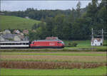 Re 460 036 zieht mit einem IC mit EW IV-Wagen an den Gemeindegrenzen Bittnau, Wikon und Zofingen vorbei.