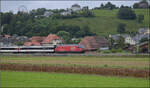 Re 460 036 zieht mit einem IC mit EW IV-Wagen an den Gemeindegrenzen Bittnau, Wikon und Zofingen vorbei.